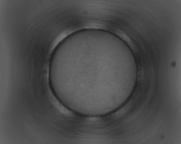 X0000091551130200708311348