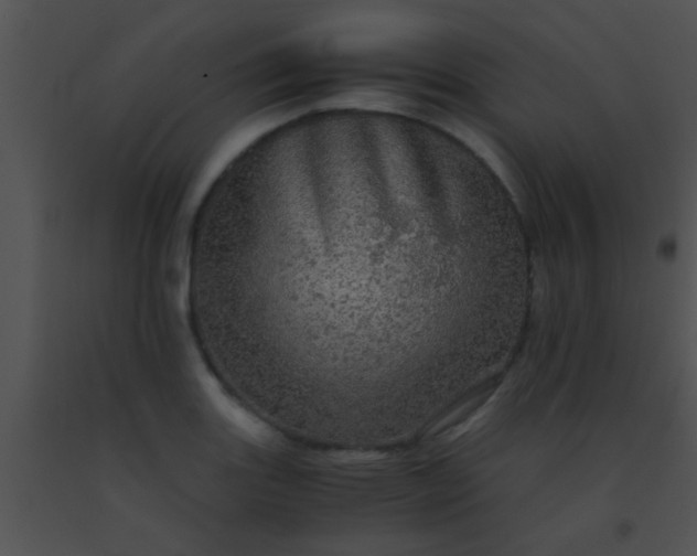 X0000091551131200708311348