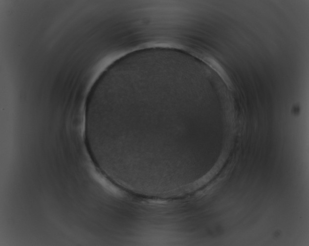 X0000091551132200708311348