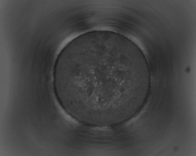X0000091551133200708311348
