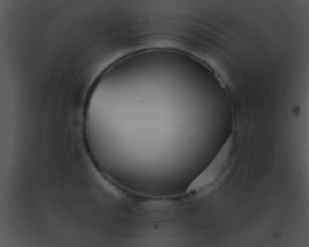 X0000091551134200708311348