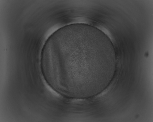 X0000091551135200708311348