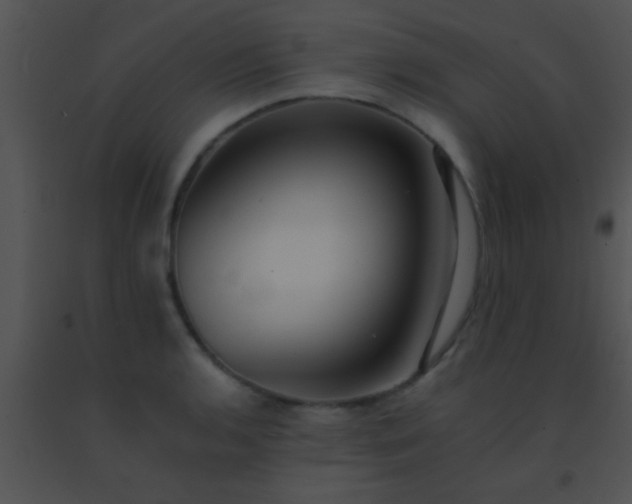 X0000091551136200708311348