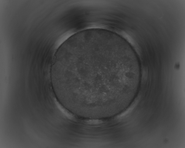 X0000091551137200708311348