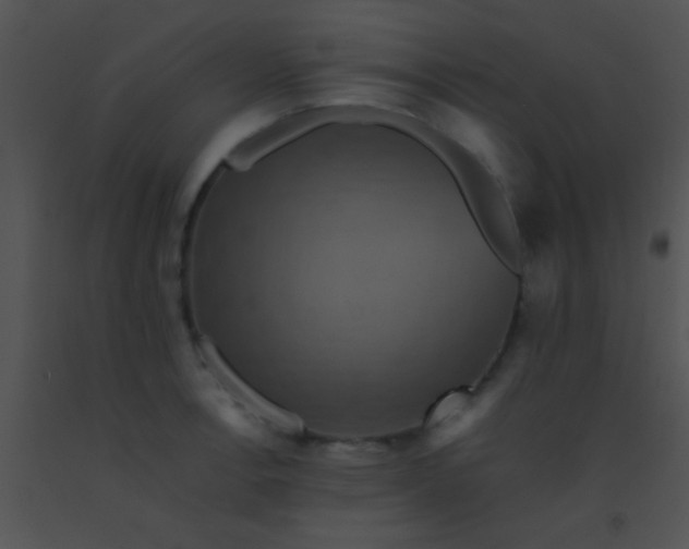 X0000091551138200708311348
