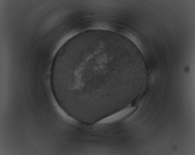 X0000091551139200708311348