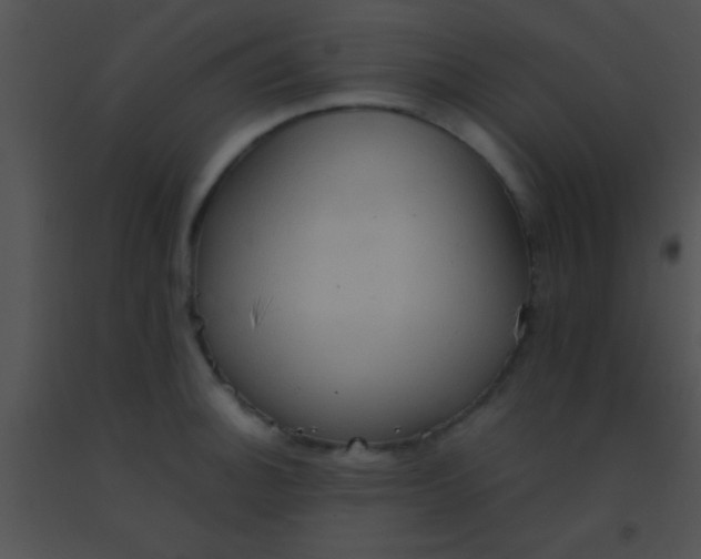 X0000091551140200708311348