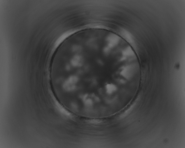 X0000091551141200708311348