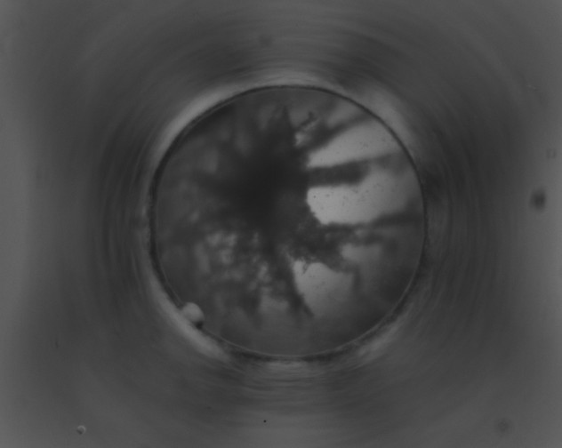 X0000091551142200708311348