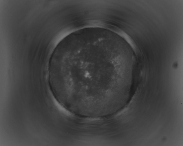 X0000091551143200708311348