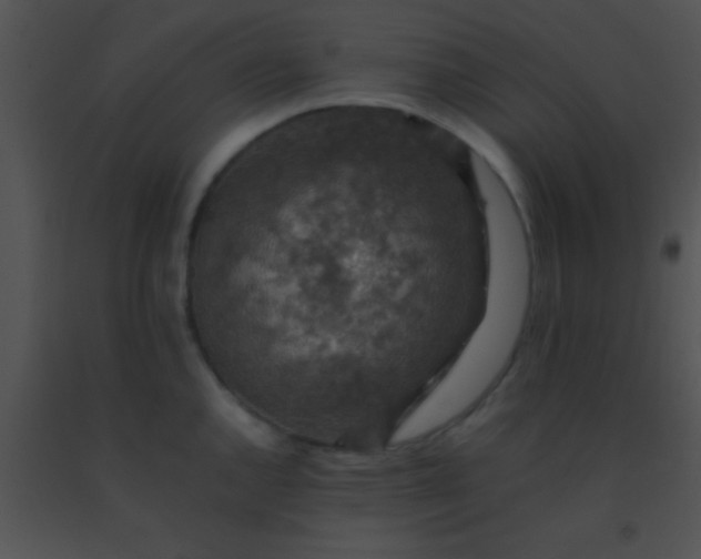 X0000091551144200708311348