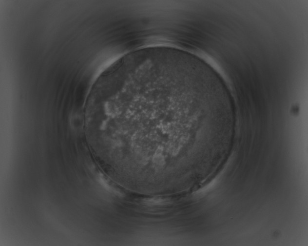 X0000091551145200708311348