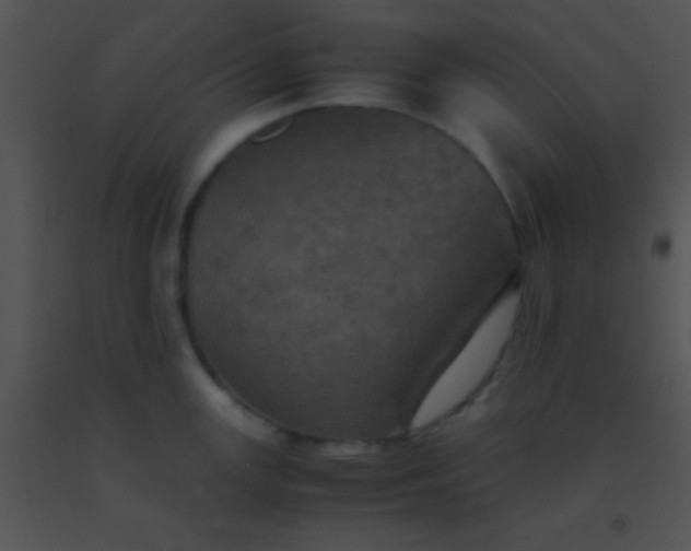 X0000091551147200708311349
