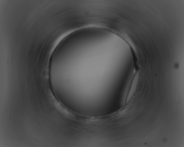 X0000091551148200708311349