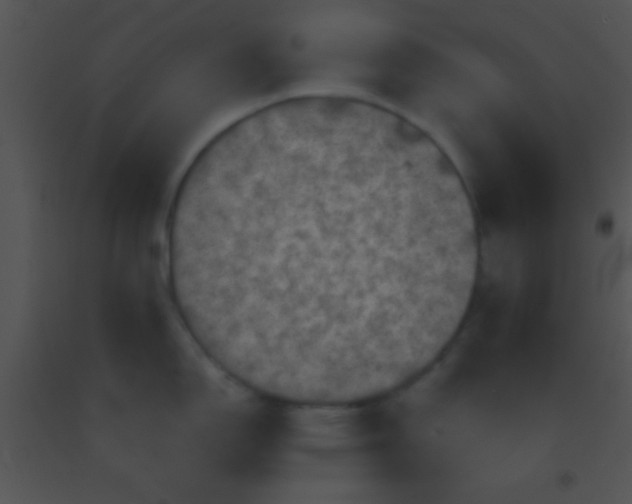 X0000091551150200708311349