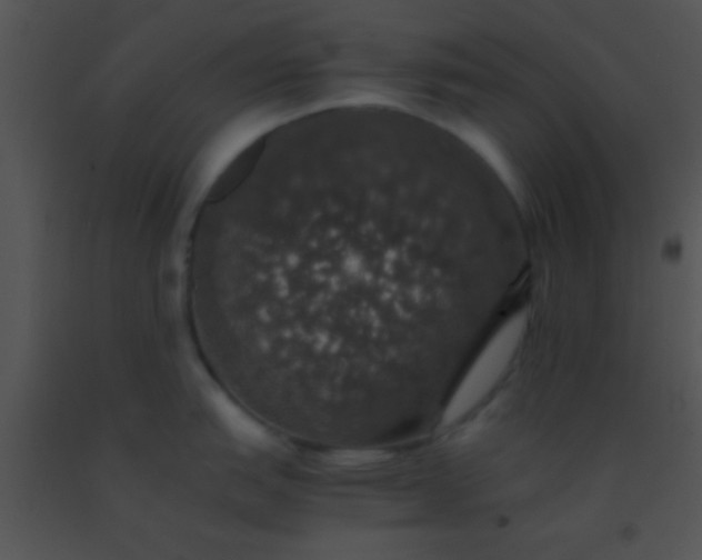 X0000091551151200708311349