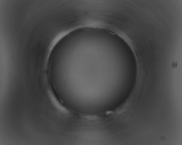 X0000091551152200708311349