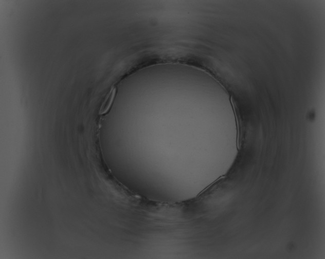 X0000091551153200708311348