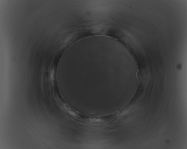 X0000091551154200708311348