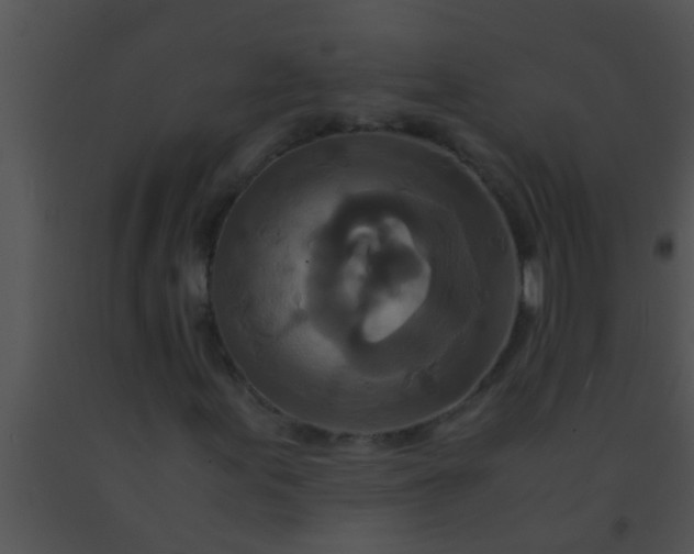 X0000091551155200708311348