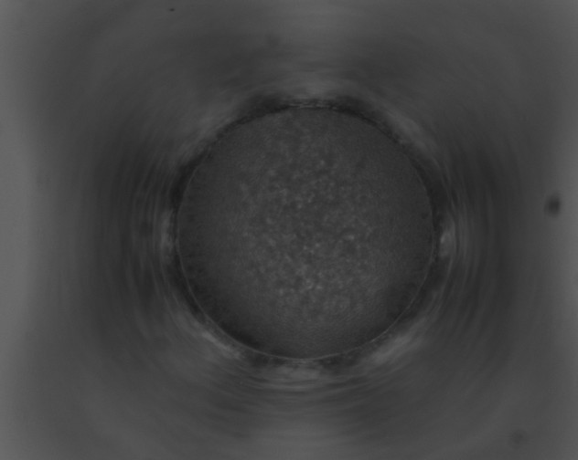 X0000091551156200708311348