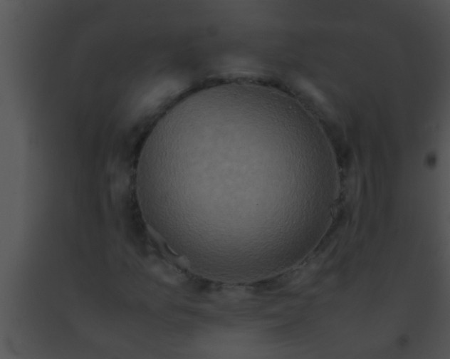 X0000091551157200708311348