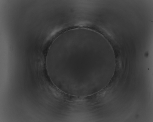 X0000091551158200708311348