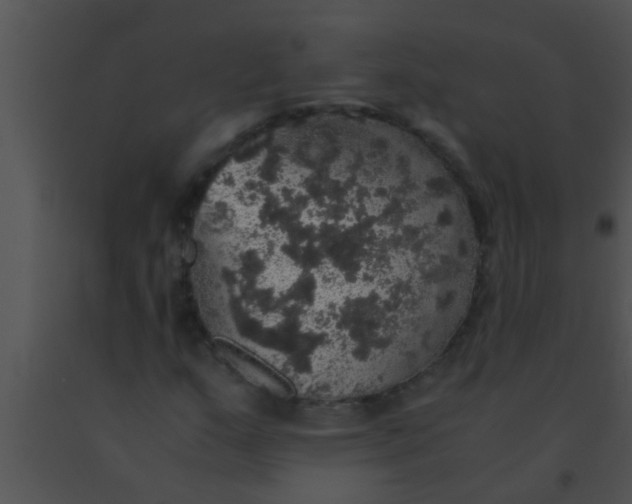 X0000091551159200708311348