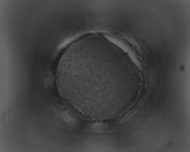 X0000091551160200708311348