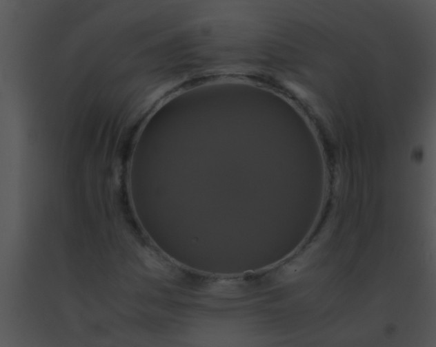 X0000091551161200708311348