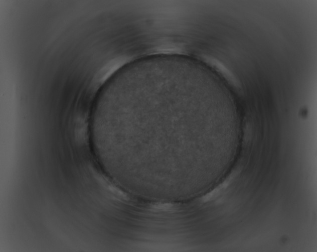 X0000091551162200708311348