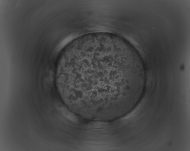 X0000091551163200708311348
