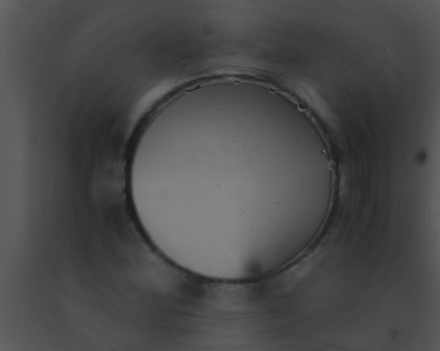 X0000091551164200708311348