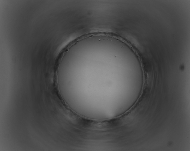 X0000091551165200708311348