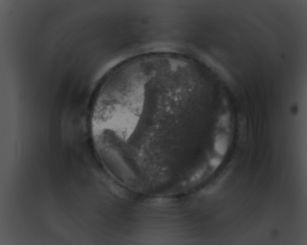 X0000091551166200708311348