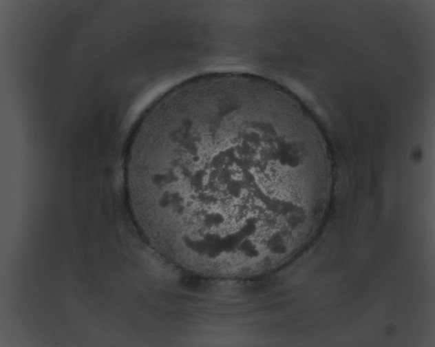 X0000091551167200708311348
