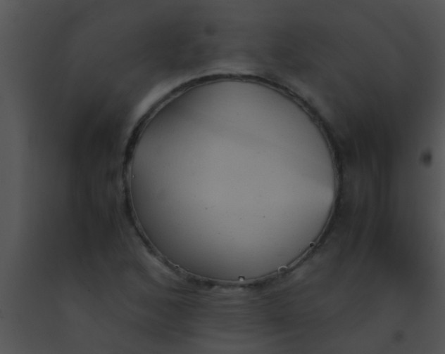 X0000091551168200708311348