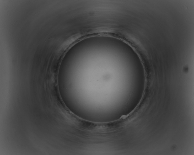 X0000091551169200708311348