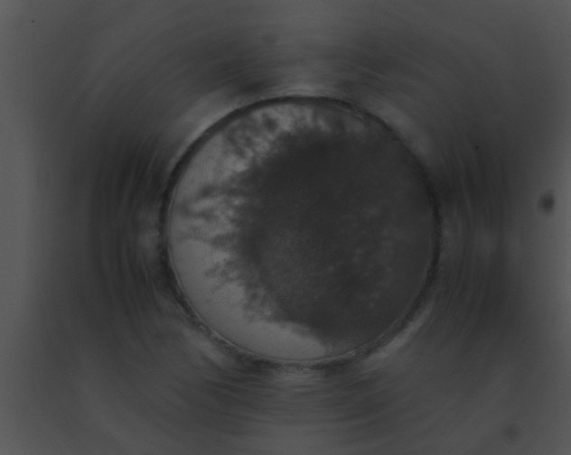X0000091551170200708311348