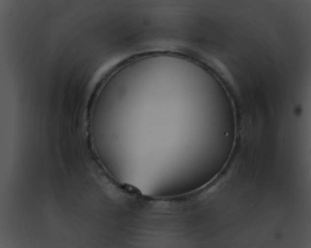 X0000091551172200708311348