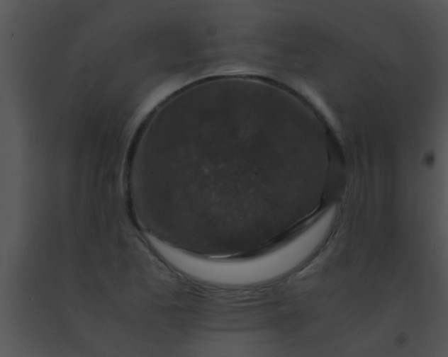X0000091551173200708311348