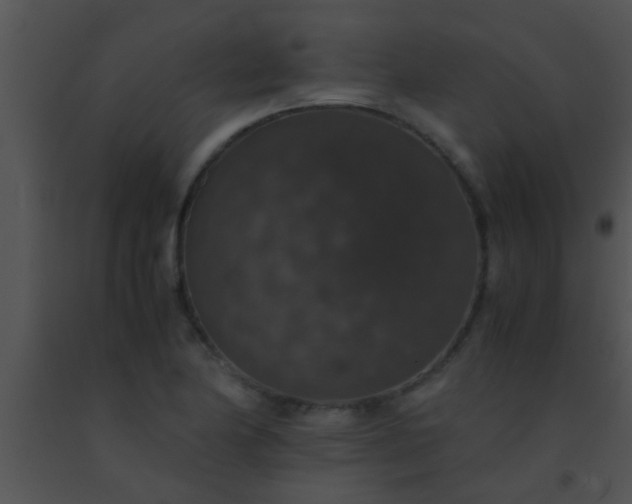 X0000091551174200708311348