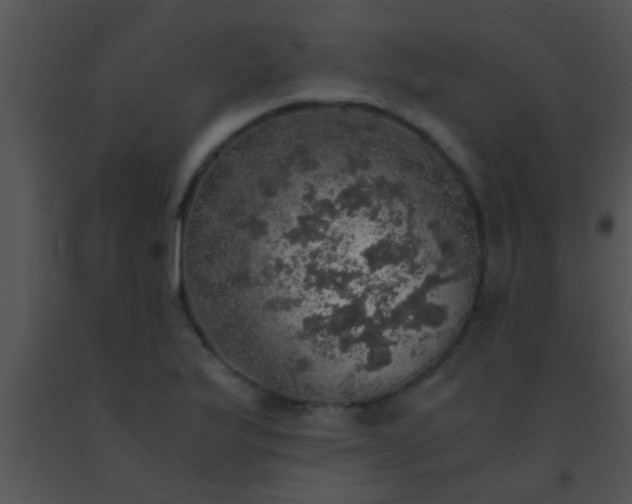 X0000091551175200708311348