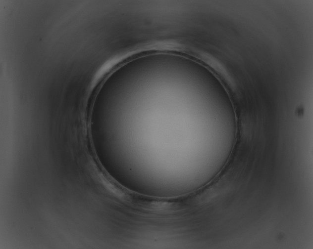 X0000091551176200708311348