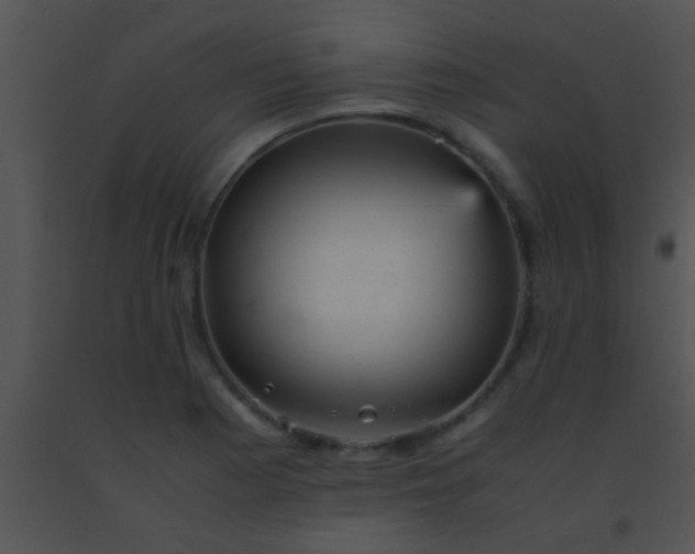 X0000091551177200708311348