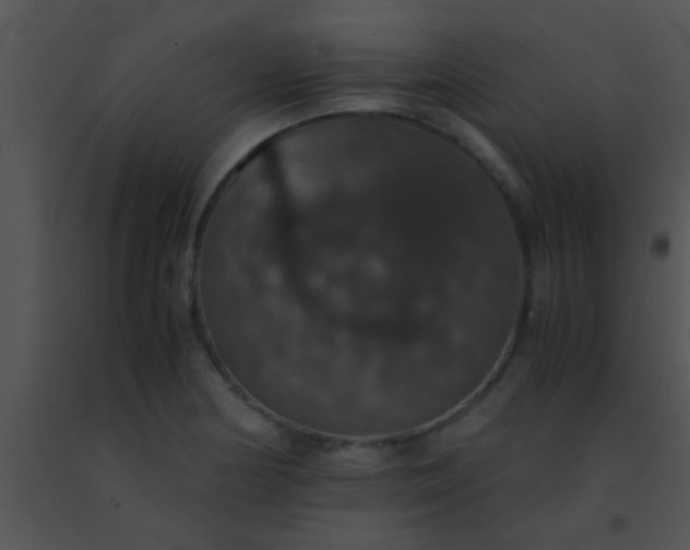 X0000091551178200708311347