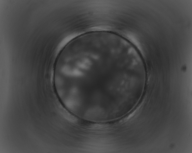X0000091551179200708311347