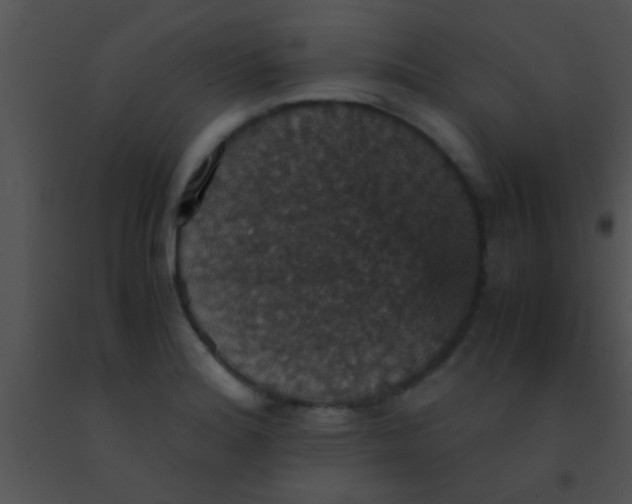 X0000091551180200708311347