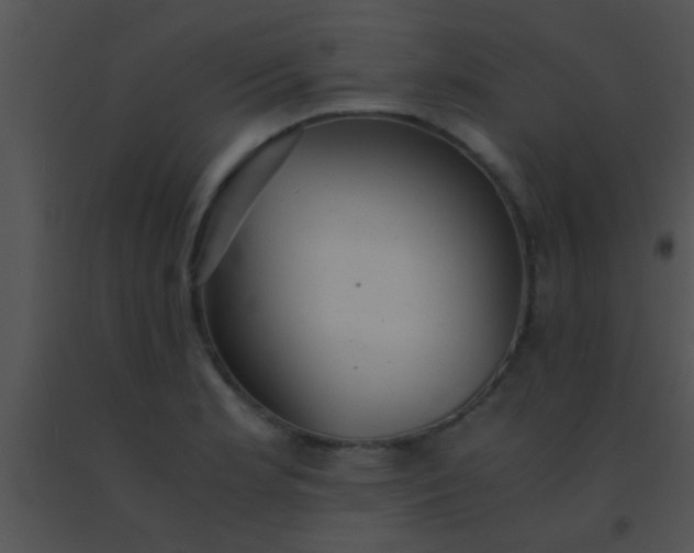 X0000091551181200708311347