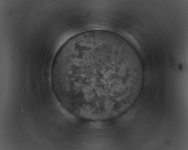 X0000091551182200708311347
